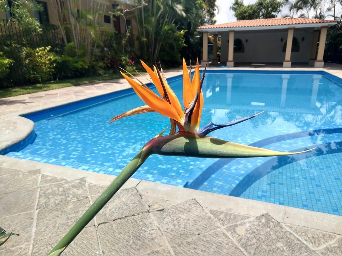 Hotel Spa Posada Tlaltenango Cuernavaca Eksteriør billede